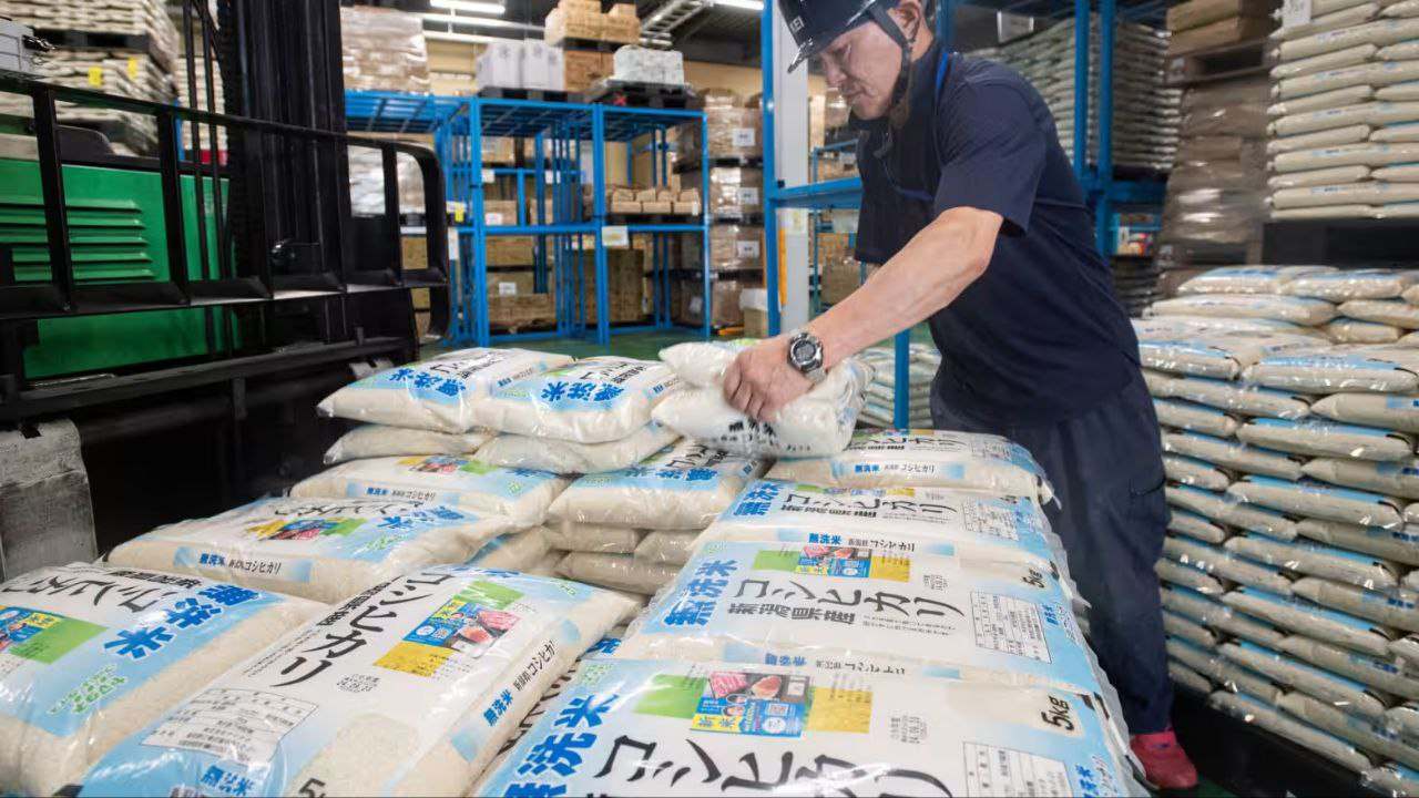 日本私营企业2025财年大米进口量预计激增20倍