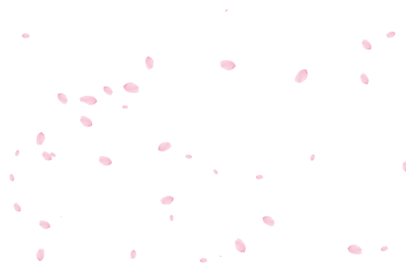 网站樱花掉落特效JS代码-给网站添加花瓣飘落动态效果